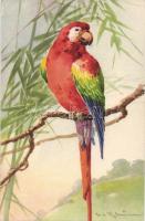 9 db RÉGI állat motívumú képeslap, benne több szignós / 9 old motive cards, animals, artist