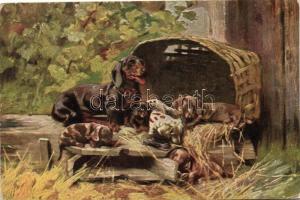 9 db RÉGI állat motívumú képeslap, benne több szignós / 9 old motive cards, animals, artist