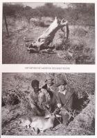 2 db vadász könyv-Békés Sándor: Puskával, tollal. Bp., Nimród. Kiadói kartonált kötés, képekkel illu...