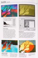 Ang, Tom: Digitális fényképezés, Kezdőknek és haladóknak. Bp., 2003, Park. Kiadói kartonált kötés, r...