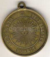 1900 körül "Hungaria Pest Keletén-000872" szabadkőműves érem T:2