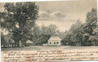 1903 Nagyszeben, Hermannstadt, Sibiu; Erdei vendéglő / Wirtshaus im Jungen Walde / Restaurant in Padurea Dumbrava (EK)