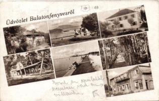 Balatonfenyves (fa)