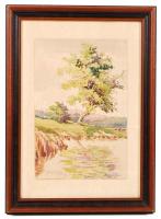 Herédy főhadnagy jelzéssel: Vízparti táj. Akvarell, papír, üvegezett keretben, 29×19 cm