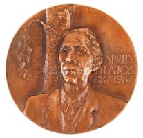 Csíkszentmihályi Róbert (1940-): Áprily Lajos. Bronz, jelzett, két oldalas, d:9,5 cm