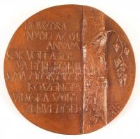 Csíkszentmihályi Róbert (1940-): Áprily Lajos. Bronz, jelzett, két oldalas, d:9,5 cm