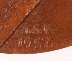 Csíkszentmihályi Róbert (1940-): Áprily Lajos. Bronz, jelzett, két oldalas, d:9,5 cm