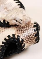 Különféle bőr tartók, összesen: 3db