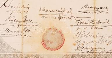 1900 Községjegyzői bizonyítvány 40x30 cm