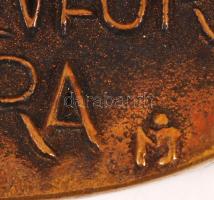 Nagy István János (1938-): A Kmp megalakulásának 60. évfordulójára. Bronz plakett, két oldalas, jelz...