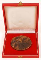 Nagy István János (1938-): A Kmp megalakulásának 60. évfordulójára. Bronz plakett, két oldalas, jelz...