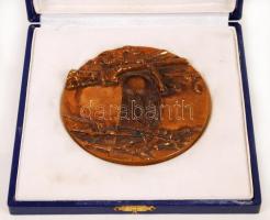 Kiss Kovács Gyula (1922-1984): Felszabadulásunk 30. évfordulóján. Bronz pakett, két oldalas, jelzett...