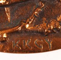 Kiss Kovács Gyula (1922-1984): Felszabadulásunk 30. évfordulóján. Bronz pakett, két oldalas, jelzett...