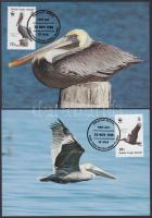 WWF Birds set 4 CM WWF: Madarak sor 4 db CM-en