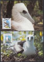 WWF: Birds set on 4 CM WWF: Madarak sor 4 db CM-en