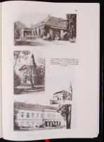 Dr. Borovszky Samu: Pest-Pilis-Solt-Kiskun vármegye I-II. kötet, Magyarország vármegyéi és városai s...