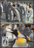 WWF: Pingvinek sor 4 db CM-en WWF: Penguins set 4 CM