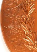 Daniel Ponce (1933-): Republique Francaise. Bronz plakett, kétoldalas, jelzett, dísztokban, d:10 cm ...