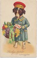 Dog as postman, nameday