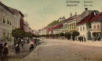 Segesvár, Bajor utca, Kwieczinsky Antal fejtő-festő, Friedrich Meczer üzlete / street, painter, shops