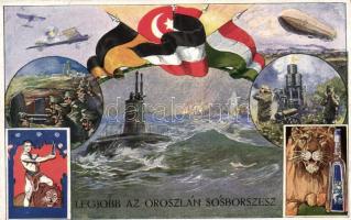 Oroszlán sósborszesz reklám, katonai propaganda / Viribus Unitis military propaganda, rubbing alcohol advertisement