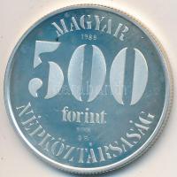 1988. 500Ft Ag "Labdarúgó EB - kapus" T:PP Adamo EM104