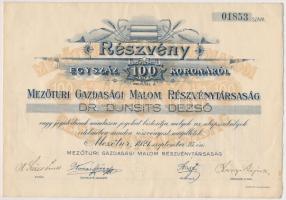 Mezőtúr 1921. "Mezőturi Gazdasági Malom Részvénytársaság" részvénye 100K-ról szelvényekkel T:I-