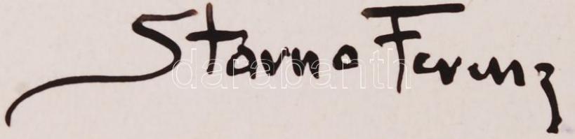 Storno Ferenc (1951-1938): Ex libris klisé, jelzett, 10×4 cm