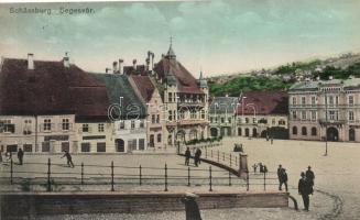 Segesvár, W. Leonhardt és Josef Girscht üzlete / shops, pharmacy, W. Nagy