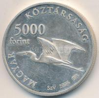 2006. 5000Ft Ag "Fertő kultúrtáj" T:PP erősen karcolódva