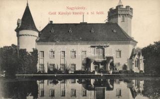 Nagykároly, Gróf Károlyi kastély / castle