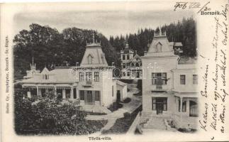 Borszék, Török villa / villa