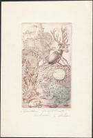 Kolozsvári G. Miklós (1950-): Gyerekkori félreértések. Rézkarc, papír, jelzett, 16×9 cm