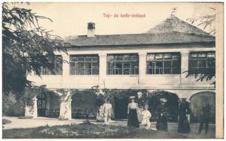 Bártfa-fürdő, Bardejovské Kúpele, Bardiov, Bardejov; leporello 18 lappal: Viszontlátás, Dr. Hintz la...