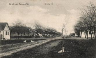 1909 Temesújfalu, Temesvár-Újfalu, Neudorf; Kereszt út kacsákkal / Kreuzgasse / street with ducks