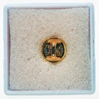 DN "Magyar Vívó Szövetség" modern aranyozott fém jelvénye dísztokban T:1