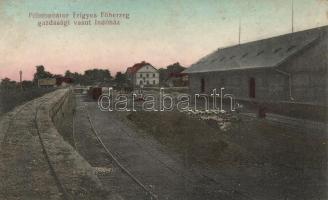 Pélmonostor, Frigyes főherceg gazdasági vasút Indóház, vaútállomás / railway station (fl)