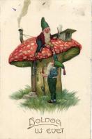 New Year, dwarves, mushroom, golden decoration, litho (Rb)