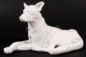Herendi fekvő kutya, fehér mázas, jelzett (mélynyomás), hibátlan, m:16 cm, h:28 cm