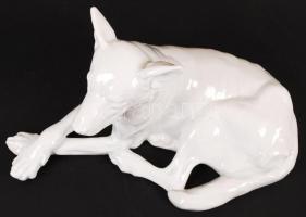 Herendi fekvő kutya, fehér mázas, jelzett (mélynyomás), hibátlan, m:16 cm, h:28 cm
