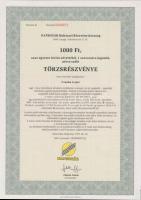 Csurgó 1997. "Napsugár Ruházati Részvénytársaság" törzsrészvényei 1000Ft + 10.000Ft + 50.000Ft + 100.000 Ft-ról T:I