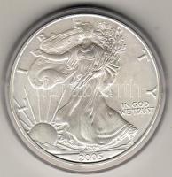 USA 2005. 1$/oz Ag T:1