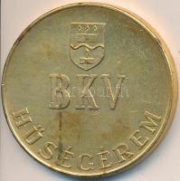 ~1970. "BKV Hűségérem" aranyozott Br emlékérem dísztokban T:2