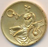 ~1970. "BKV Hűségérem" aranyozott Br emlékérem dísztokban T:2