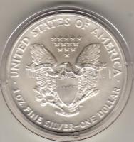 USA 2005. 1$/oz Ag T:1