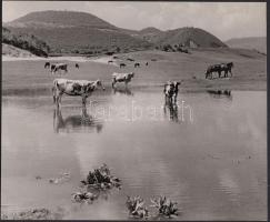 cca 1930-1940 Jermy László: Lido, vintage fotóművészeti alkotás, feliratozva, a szerző hagyatékából, 16x19 cm.