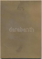 1972. "Pestvidéki Gépgyár 1952-1972" Br plakett dísztokban (100mmx70mm) T:2