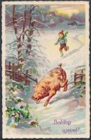 New Year, child, pig