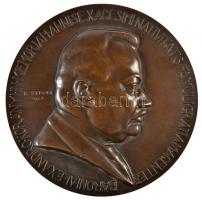 Kisfaludi Strobl Zsigmond (1884-1975) 1926. "Korányi Sándor születésének 60. évfordulójára" Br egyoldalas emlékplakett. "BARONI ALEXANDRO KORÁNYI IN MEMORIAM ANNI SEXAGESIMI NATIVITATIS FAMULI GRATIAM AGENTES" (210mm) T:2 Hungary 1926. "60th Anniversary of the Birth of Alexander Korányi" Br plaque, szign.: Zsigmond Kisfaludy Strobl (210mm) C:XF HP 4923.