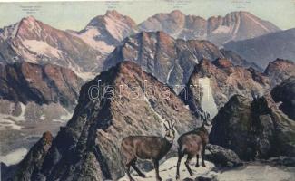 Tátra, Zerge, Tengerszem, Tátra, Ferenc József és Koncsiszta csúcs (EK)